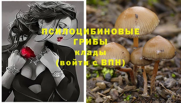 прущие крисы Алзамай